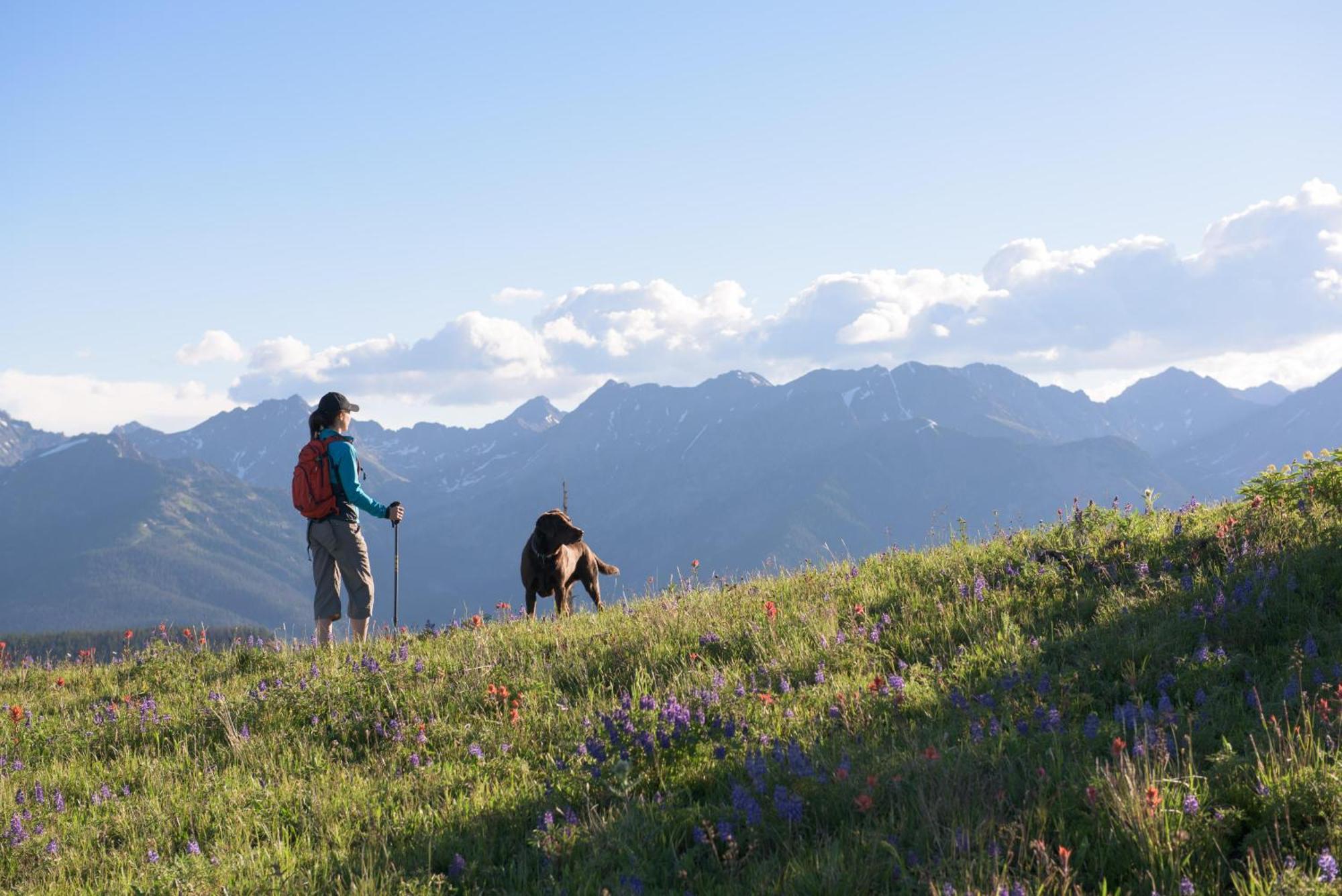 Lift House Lodge, Vail Lionshead Studio Condo, Walk To Gondola Luaran gambar