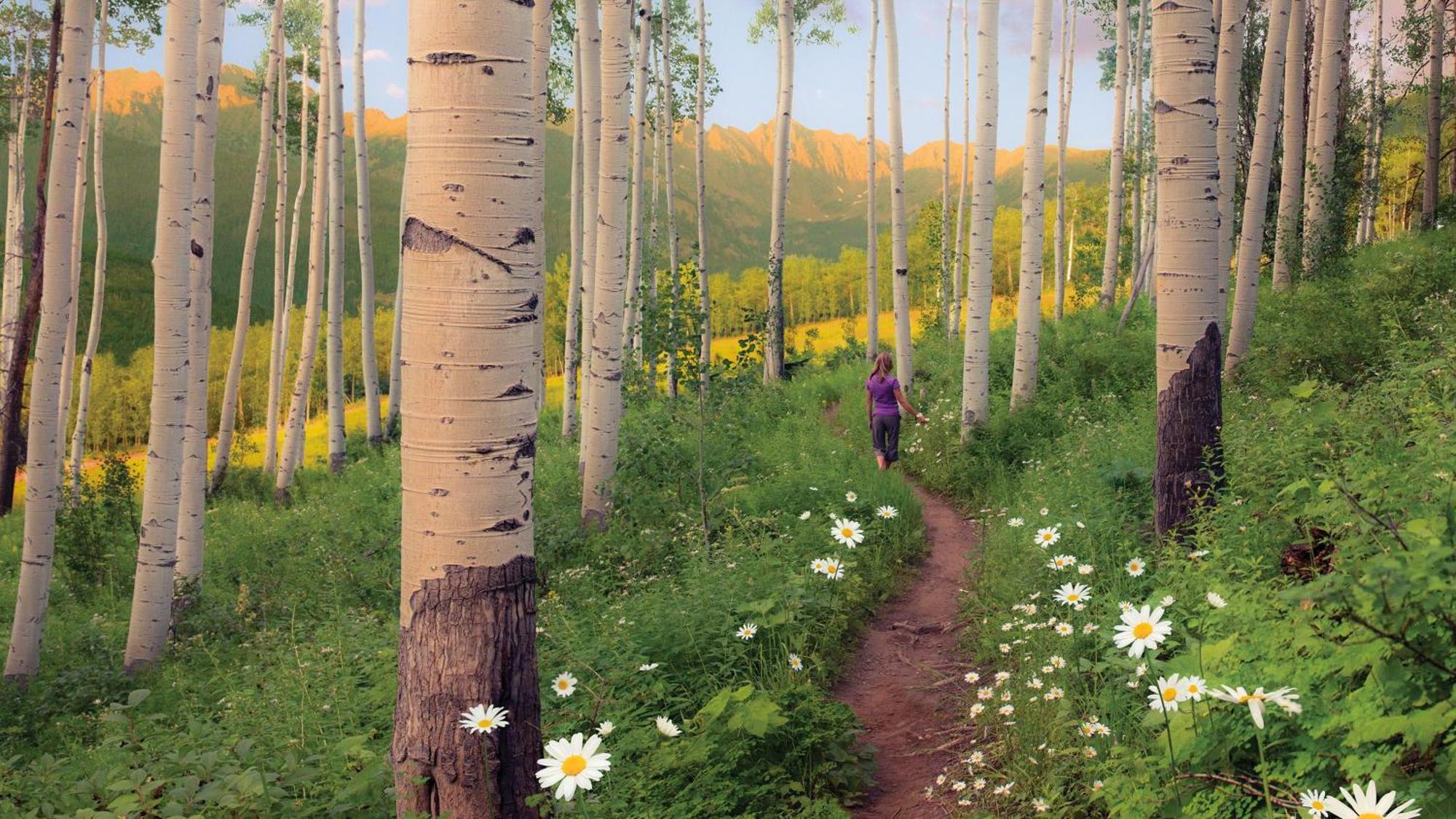 Lift House Lodge, Vail Lionshead Studio Condo, Walk To Gondola Luaran gambar